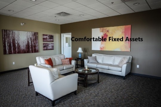 Picture of comfortable fixed assets (sofas)