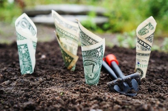 Dollar bills planted in fertile soil ready to grow